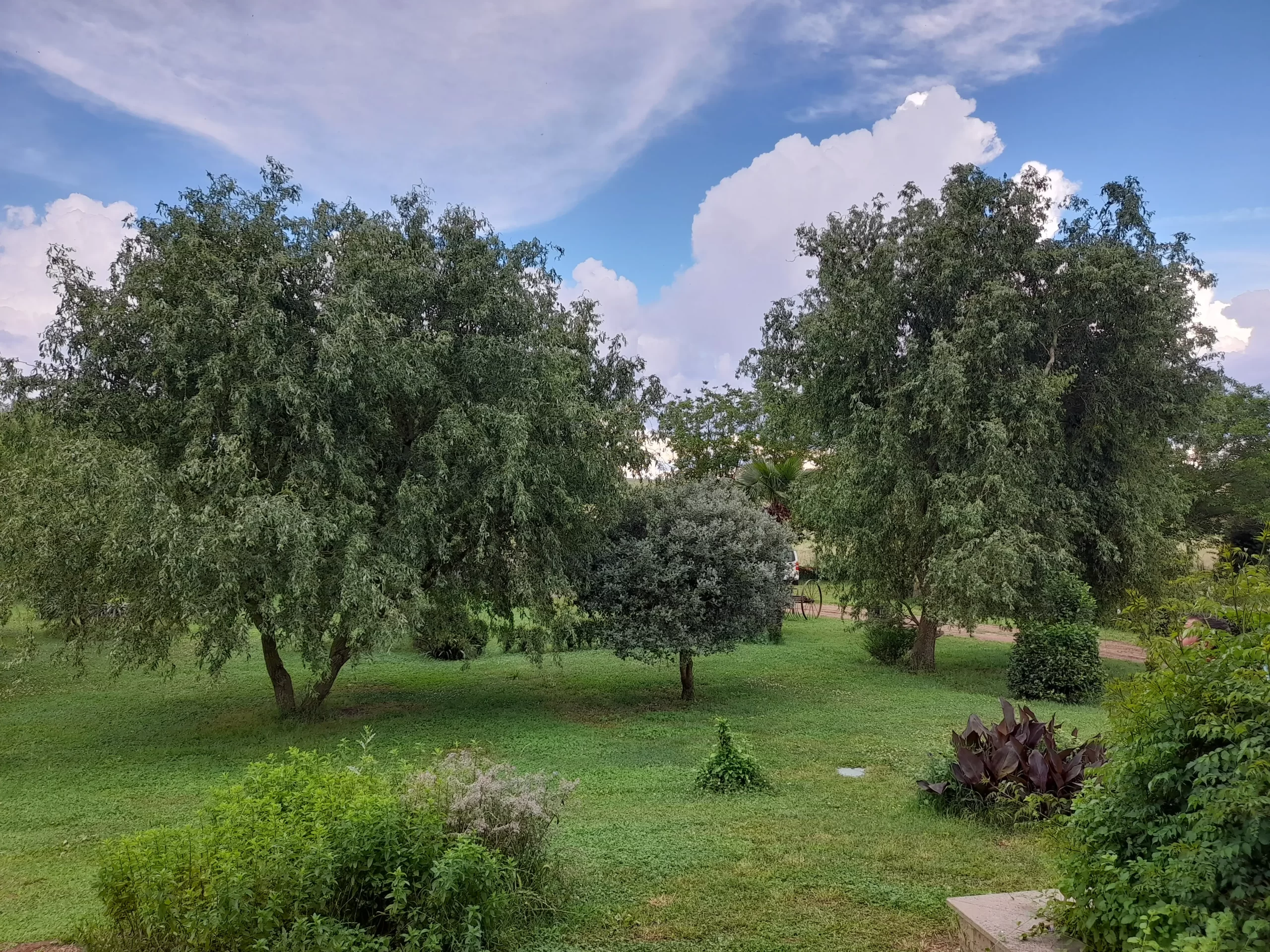 Azienda agricola, fattoria didattica, agriturismo: qui il nostro uliveto