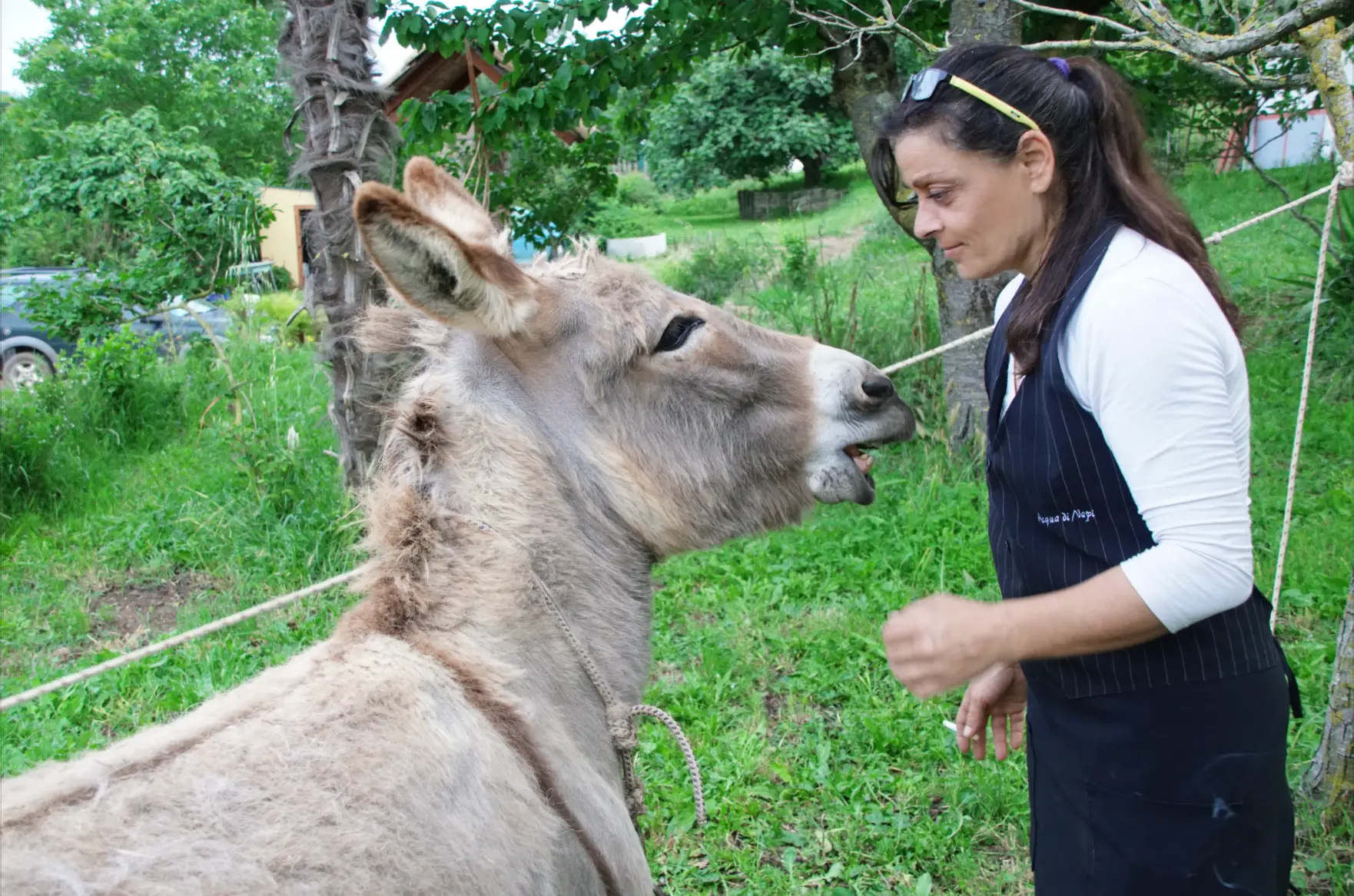 Alessandra e i suoi viziatissimi e amati animali